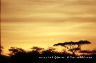 rspage003005.jpg